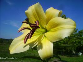 Foto: Stefan Strasser